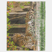 Dierenluipaardkat (150 x 200 cm) fleece deken (Voorkant)