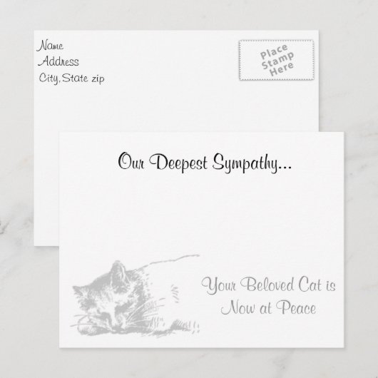 Dierenmedeleven bij de kat briefkaart (Voorkant / Achterkant)