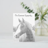 Dierenmedeleven bij paarden briefkaart (Staand voorkant)