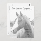 Dierenmedeleven bij paarden briefkaart (Voorkant / Achterkant)