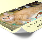 Dierenogen spreken een geweldige taal poster (Hoek)