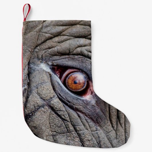 Dierenolifantenoog dicht bij kleine kerstsok (Voorkant)