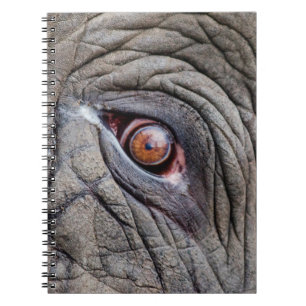 Dierenolifantenoog dicht bij notitieboek