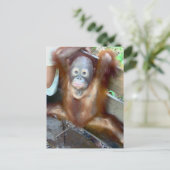 Dierenongeval met Baby Briefkaart (Staand voorkant)