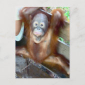 Dierenongeval met Baby Briefkaart (Voorkant)