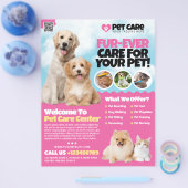 Dierenopvang / Pet Hotel Flyer (Enkel)