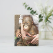 Dierenorfine Briefkaart (Staand voorkant)