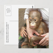 Dierenorfine Briefkaart (Voorkant / Achterkant)