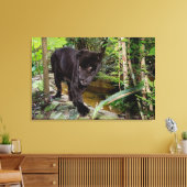 Dierenpark Belize City. Zwarte panter Canvas Afdruk (Insitu (Woonkamer))