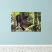 Dierenpark Belize City. Zwarte panter Canvas Afdruk (Insitu (Houten vloer))