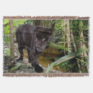Dierenpark Belize City. Zwarte panter Deken
