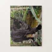 Dierenpark Belize City. Zwarte panter Legpuzzel (Verticaal)