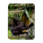 Dierenpark Belize City. Zwarte panter Magneet (Verticaal)
