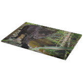 Dierenpark Belize City. Zwarte panter Snijplank (Hoek)