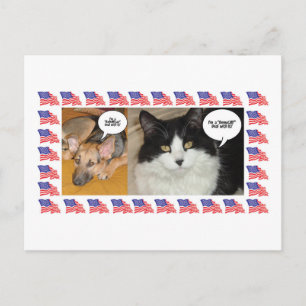 Dierenpolitieke verkiezingen 2016 briefkaart