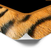 Dierenprint Tijger Verjaardagsplein Poster (Hoek)