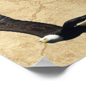 Dierenrechtengedicht en Bald Eagles Literary Poste Poster (Hoek)