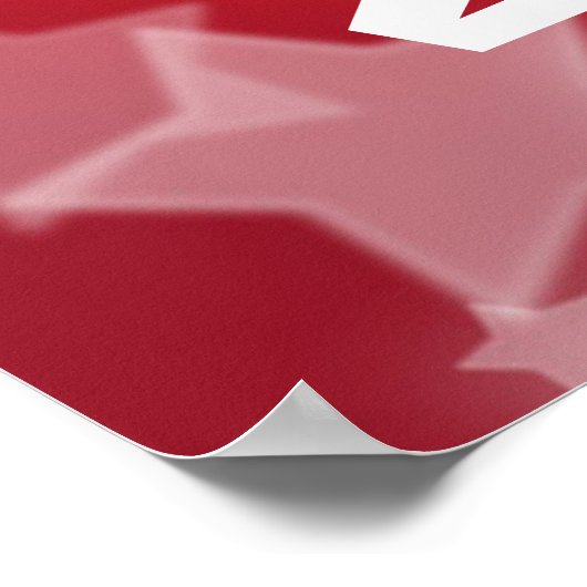 Dierenrechtenkiezer Poster (Hoek)