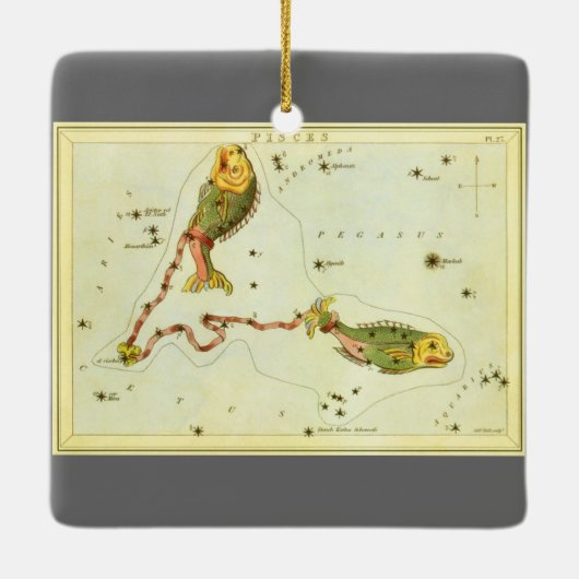 Dierenriem Astrologie Vissen Sterrenbeeld Keramisch Ornament (Achterkant)