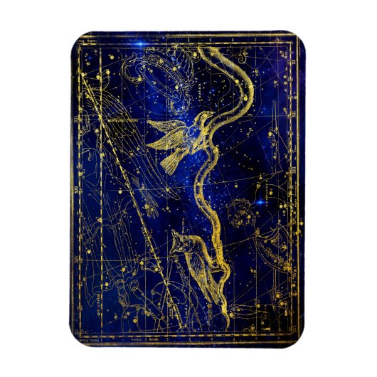 dierenriem sterrenbeeld magneet (Verticaal)