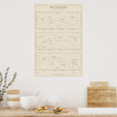 Dierenriem Sterrenbeeld Poster (Keuken)