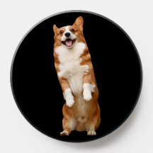 Dierenrijk - Geweldige Leuke Corgi