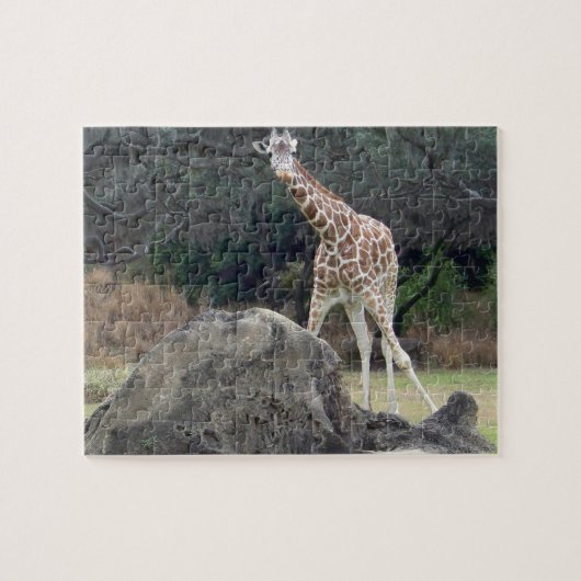 Dierenrijk Verboden Giraffe Legpuzzel (Horizontaal)