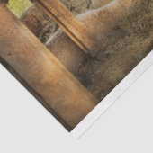 Dierenschapen - telende schapen tissuepapier (Detail)