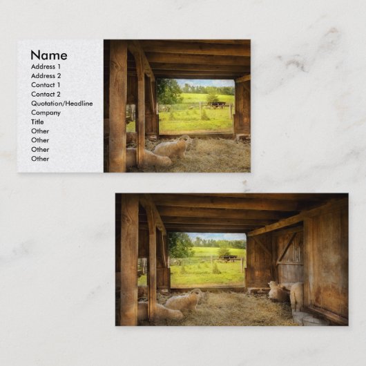 Dierenschapen - telende schapen visitekaartje (Voorkant / Achterkant)