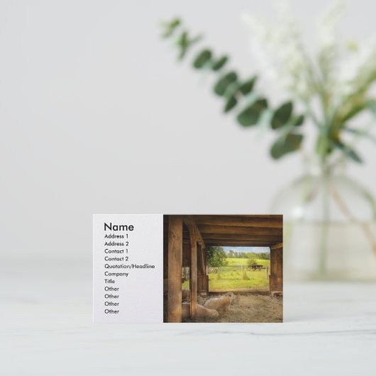 Dierenschapen - telende schapen visitekaartje (Staand voorkant)