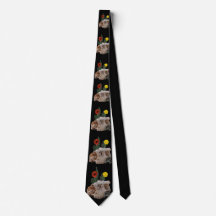 Dierenschedel, Cactus, Bloemen, en een Leuke Spin