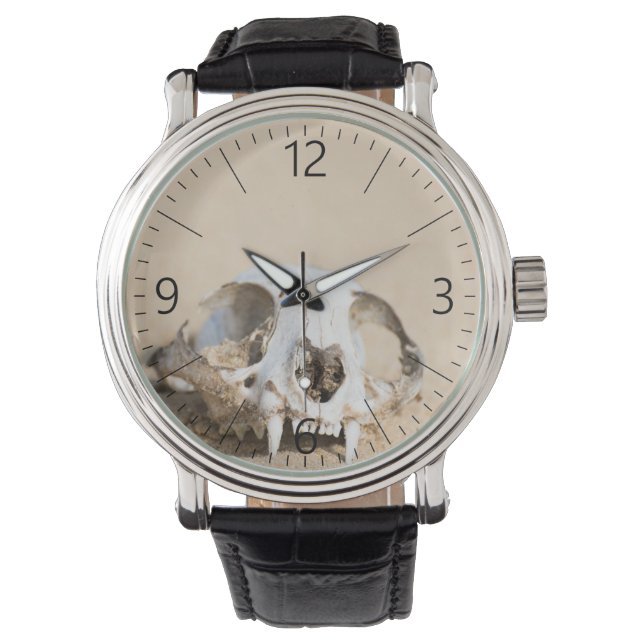 Dierenschedel Horloge (Voorkant)