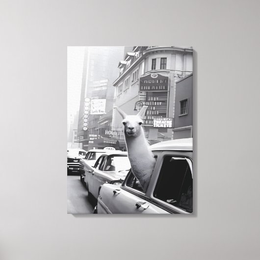 Dierenschilderij Llama Canvas Muur Kunst Afdruk (Voorkant)