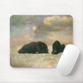 Dierenskeletten uit vroeger tijd, Grizzlyberen doo Muismat (Met muis)