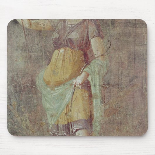 Dierenstandbeeld, van Pompeii, c.50-59 Muismat (Voorkant)