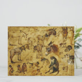 Dierenstudies: Donoren, apen, katten en honden Kaart (Staand voorkant)