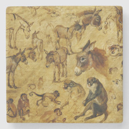 Dierenstudies: Donoren, apen, katten en honden Stenen Onderzetter