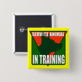 DIERENTRAINING VIERKANTE BUTTON 5,1 CM (Voorkant /achterkant)