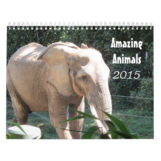Dierentuin 2015 kalender (Hoes)