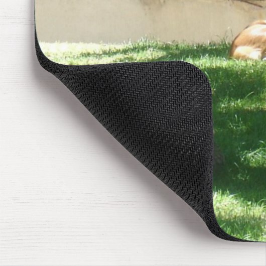 dierentuin afbeeldingen muismat (Hoek)