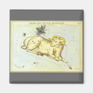 dierentuin, astrologie Aries Ram Constellation Magneet