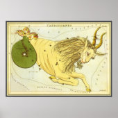  dierentuin, astrologie Capricorn constellatie Poster (Voorkant)