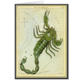 dierentuin, astrologie Scorpio constellatie (Voorkant)