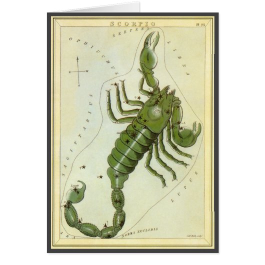 dierentuin, astrologie Scorpio constellatie (Voorkant)