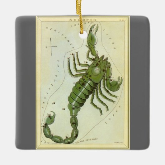 dierentuin, astrologie Scorpio constellatie Keramisch Ornament (Voorkant)