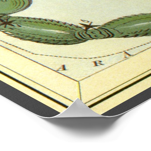 dierentuin, astrologie Scorpio constellatie Poster (Hoek)