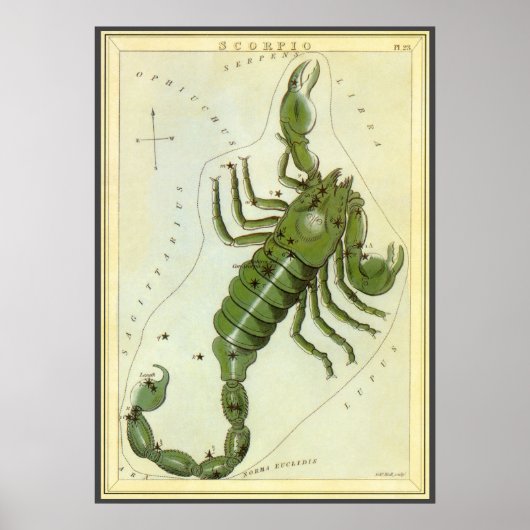 dierentuin, astrologie Scorpio constellatie Poster (Voorkant)