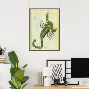 dierentuin, astrologie Scorpio constellatie Poster
