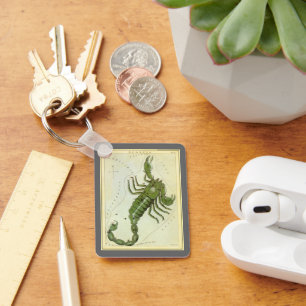  dierentuin, astrologie Scorpio constellatie Sleutelhanger