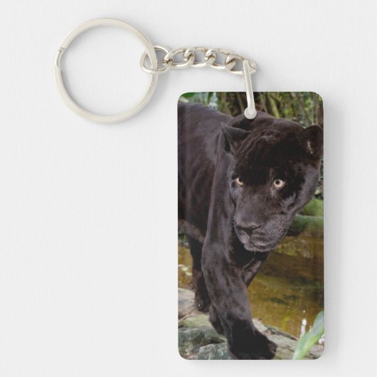 Dierentuin Belize City. Zwarte panter Sleutelhanger (Voorkant)
